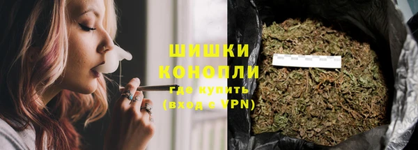 МДПВ Нефтегорск