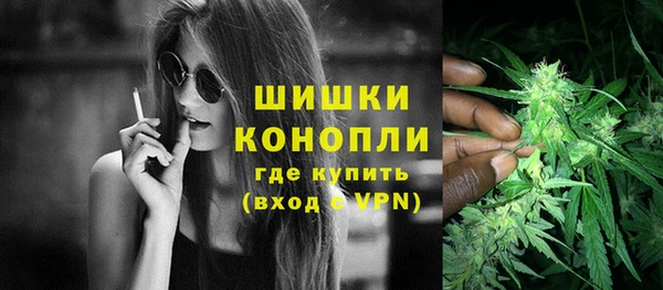 шишки Наволоки