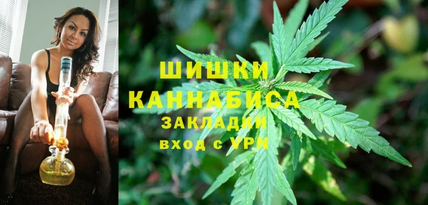 трава Надым