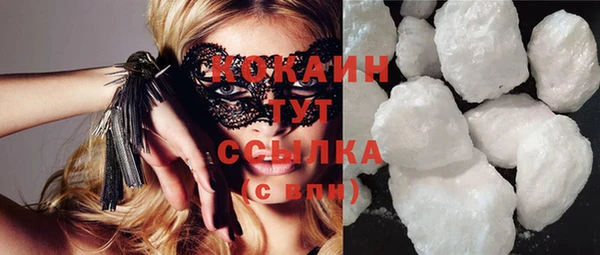 МДПВ Нефтегорск