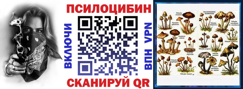 Галлюциногенные грибы прущие грибы  Королёв 